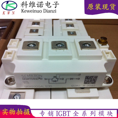 SKM200GAL12T4 SKM200GAL12E4 SKM200GAL126D SKM200GAL176D
