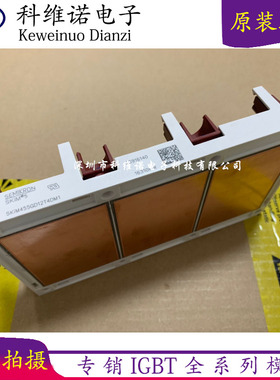 SKIM455GD12T4DM1 SKIM455GD12T4D1SKIM601GD126D SKIM501GD126D