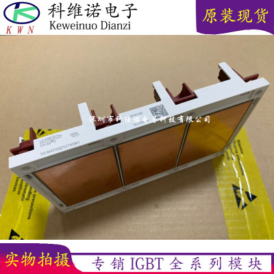 SKIM455GD12T4DM1 SKIM455GD12T4D1SKIM601GD126D SKIM501GD126D