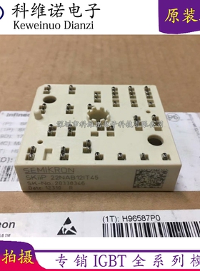 SKIIP22NAB12T18 SKIIP22NAB12T17 SKIIP22NAB12IT45 SKIIP20NAB