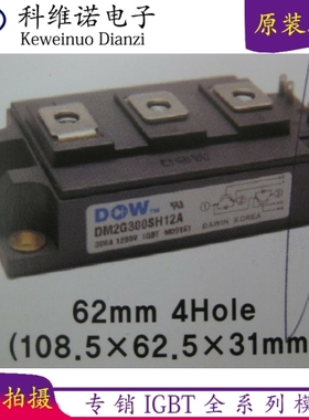 韩国大卫模块DM2G400SH6A DM2G300SH6N现货
