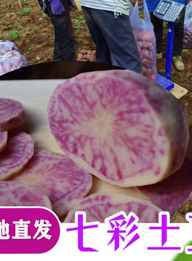 花心洋芋七彩土豆中大号马铃薯大凉山红皮红心土豆10斤