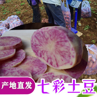 花心洋芋七彩土豆中大号马铃薯大凉山红皮红心土豆10斤