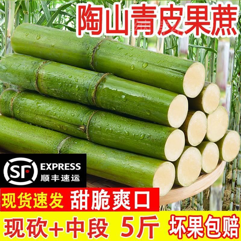 陶山甘蔗现货青皮绿皮甘蔗孕妇新鲜水果应季果蔗现砍发脆甜蔗顺丰