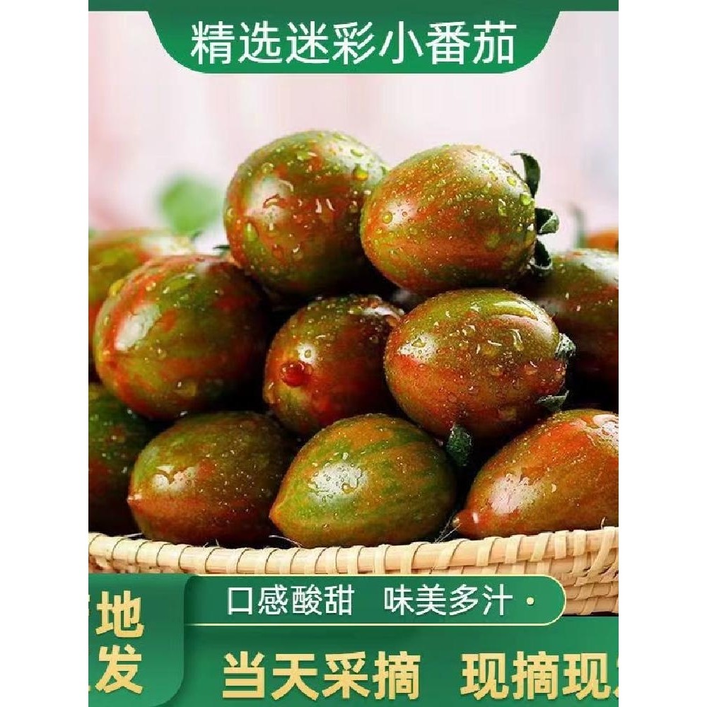 迷彩小番茄黄色阳光圣女果紫葡萄新鲜铁皮小西红柿生吃玲珑水果菜,水产肉类/新鲜蔬果/熟食,番茄,淘宝优惠券,粉丝福利购,淘宝优惠卷
