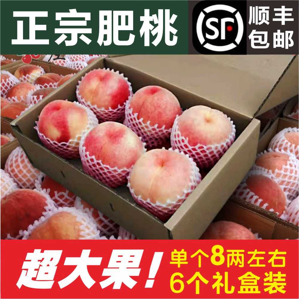 山东特产肥城桃子现摘新鲜脆甜超大桃子水蜜桃肥桃佛桃 6礼盒装