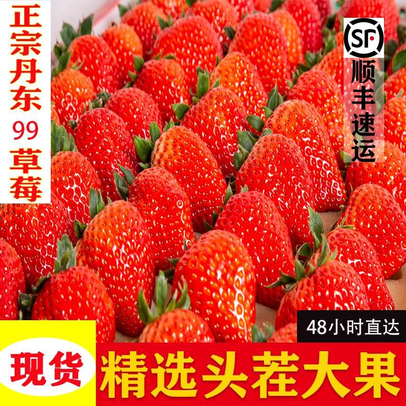 丹东99草莓新鲜水果奶油牛奶孕妇东港大草莓当季整箱礼盒包邮斤