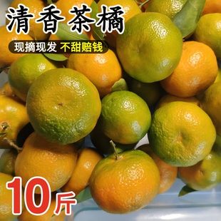 广西清香蜜桔茶橘青皮橘清香9斤新鲜水果砂糖巴西柑沃青香蜜橘子