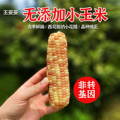 王妥妥®香糯小玉米（非转基因）