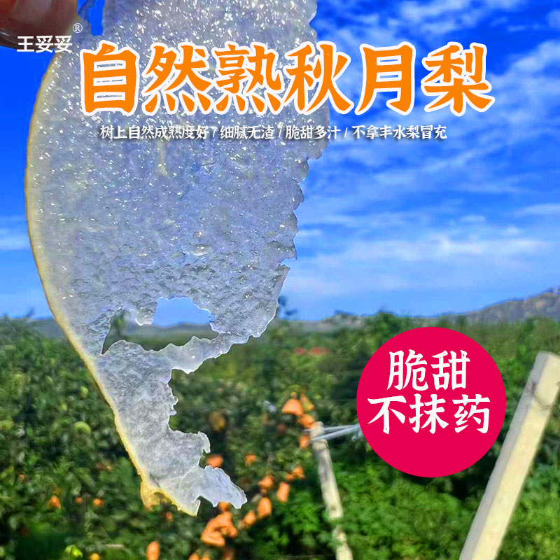 不抹药~正宗山东烟台秋月梨礼盒时令新鲜当季应季水果整箱自然熟