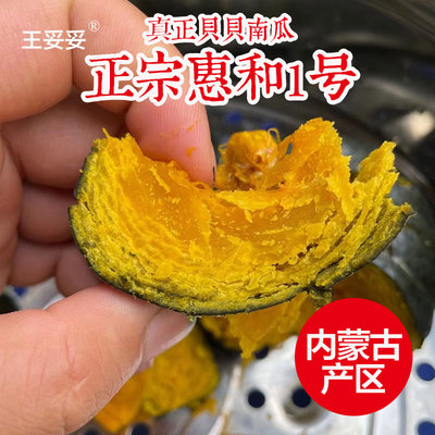 【结束7月见】内蒙惠和一号真贝贝南瓜新鲜正宗板栗迷你小南瓜