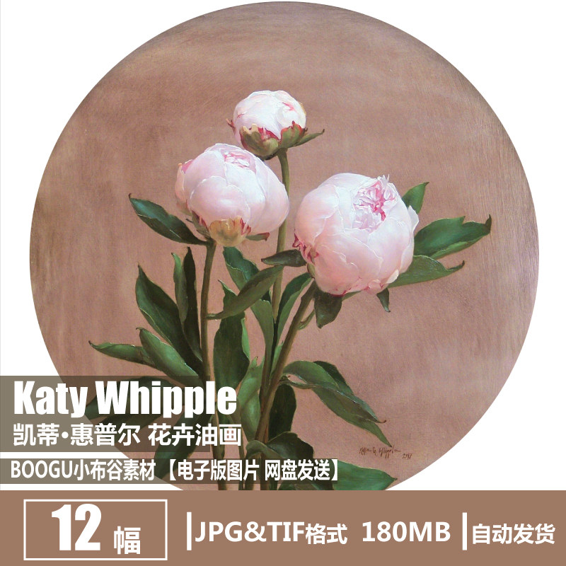 凯蒂·惠普尔 katy whipple 电子图片 写实花卉油画 装饰画素材
