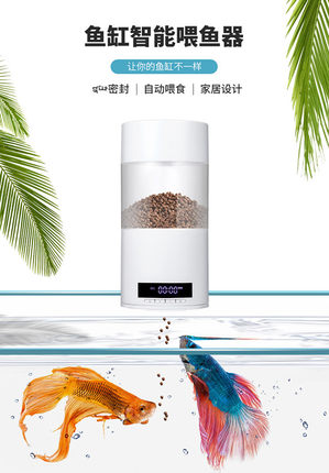 自动喂食器定时喂鱼器大容量500克定时定量投喂食器智能投喂鱼器