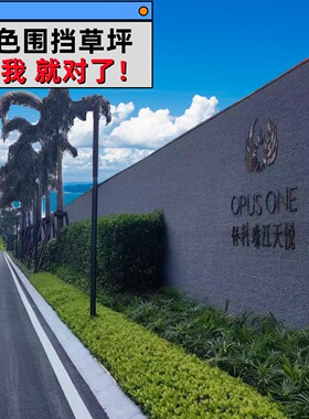 灰色草皮灰白色仿真茅草地毯