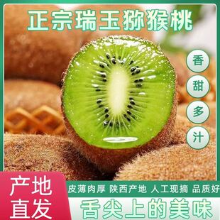 陕西瑞玉猕猴桃新鲜水果香甜多汁即食猕猴桃奇异果产地直发