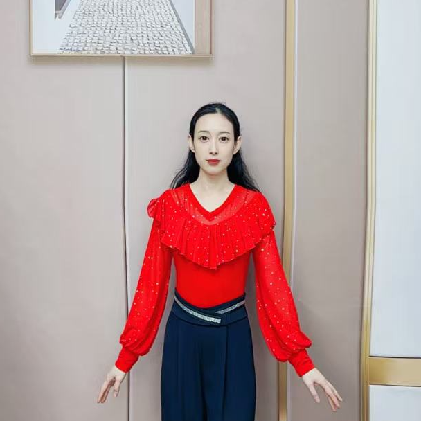 欢舞阁摩登舞吉特巴舞蹈服广场舞亮片气质V领长袖女舞衣A0754