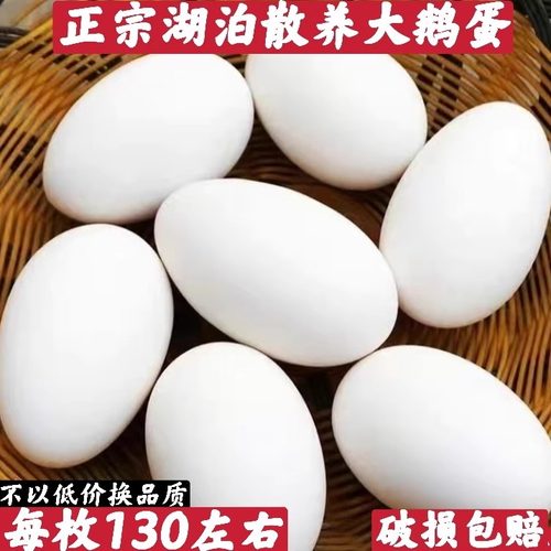 正宗农家散养鹅蛋新鲜孕妇大鹅
