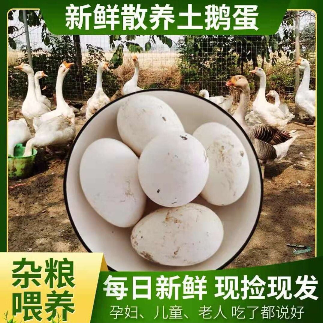 正宗农家散养鹅蛋新土鹅蛋孕妇去胎毒超大鹅蛋12枚160-180克/枚