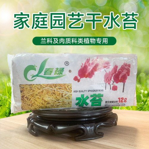 兰花无土栽培苔藓石斛育苗干水苔