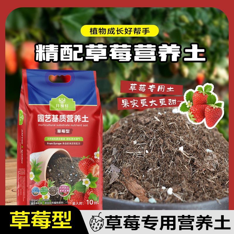 种草莓专用营养土壤种植土泥炭土鹿沼土品氏泥炭通用土