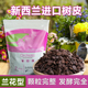 新西兰进口松树皮发酵腐熟兰花专用土松磷蝴蝶兰石斛垫材大块松鳞
