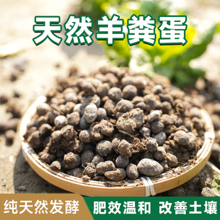 羊粪发酵农家肥天然种花卉果蔬菜基肥追肥无异味纯干羊粪羊粪球