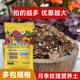多包月季 玫瑰土粗椰壳松树皮疏松透气进口泥炭配比花卉兰科通用型