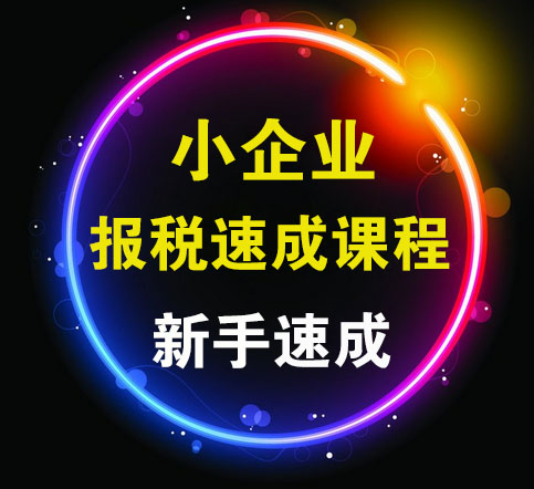 企业网上报税小规模0零申报税务申报纳税申报网上抄报税实操教程