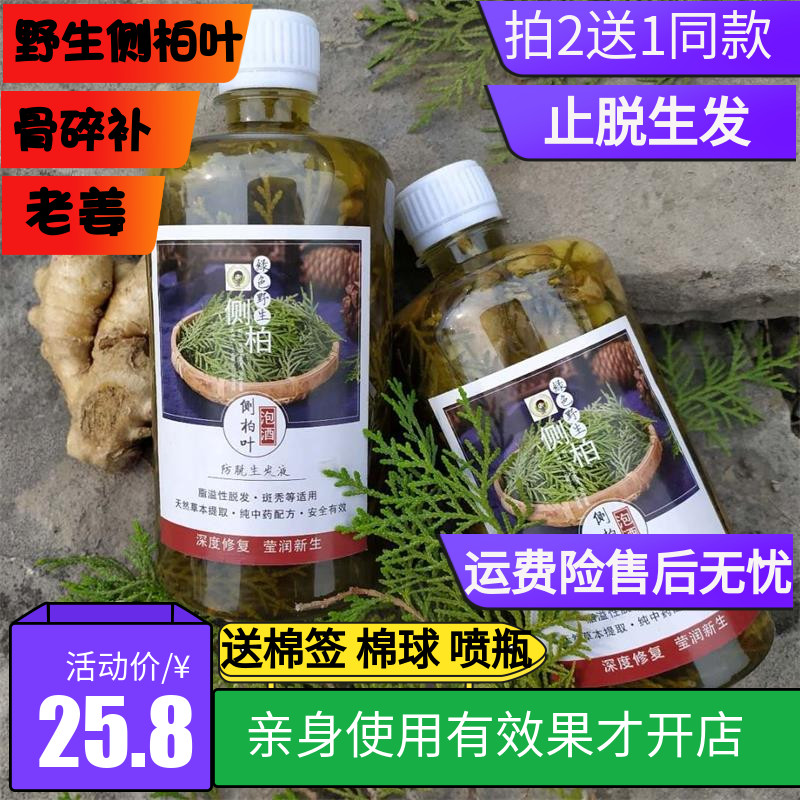 新鲜野生侧柏叶泡酒老姜止脱生发育发液酒精中药材侧伯叶脂溢性