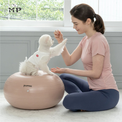 pupping狗狗髌骨锻炼健身瑜伽球