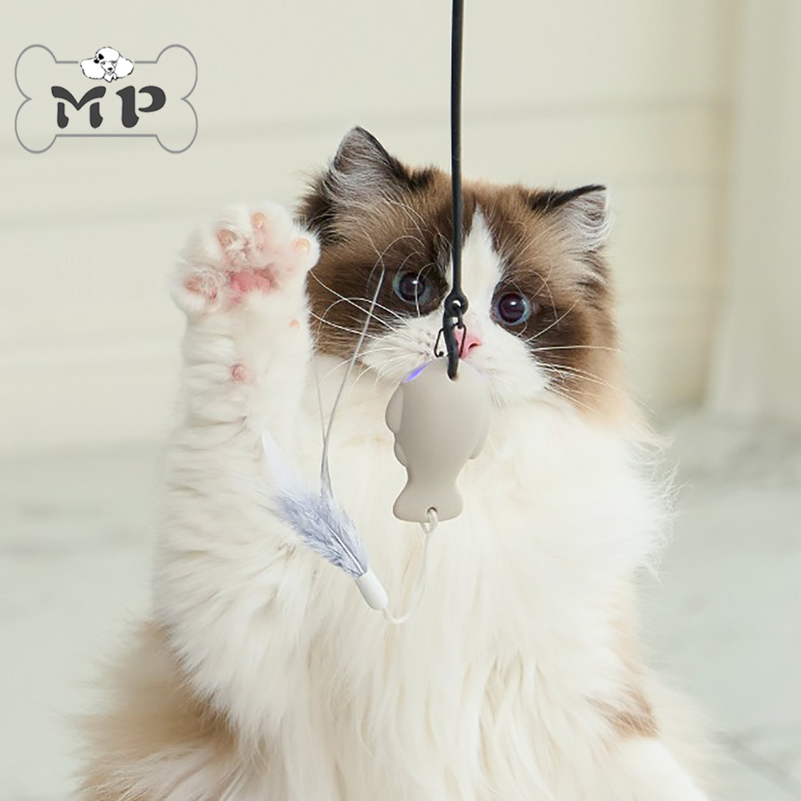 『Memory Pet』韩国代购duit宠物猫咪钓鱼发光激光超长逗猫棒玩具,宠物/宠物食品及用品,逗猫棒,淘宝优惠券,粉丝福利购,淘宝优惠卷