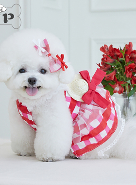 『Memory Pet』韩国代购iloilo宠物红色格纹草帽蝴蝶结蕾丝吊带裙