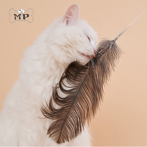 韩国zooahpet猫咪鸵鸟毛逗猫棒