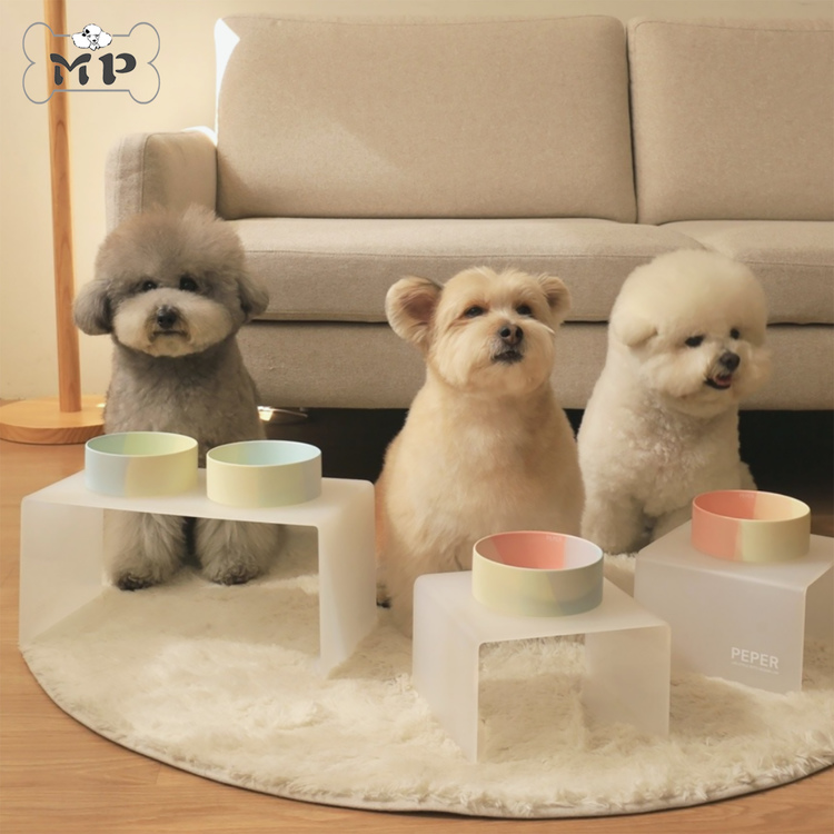 韩代宠物渐变马卡龙陶瓷碗餐桌