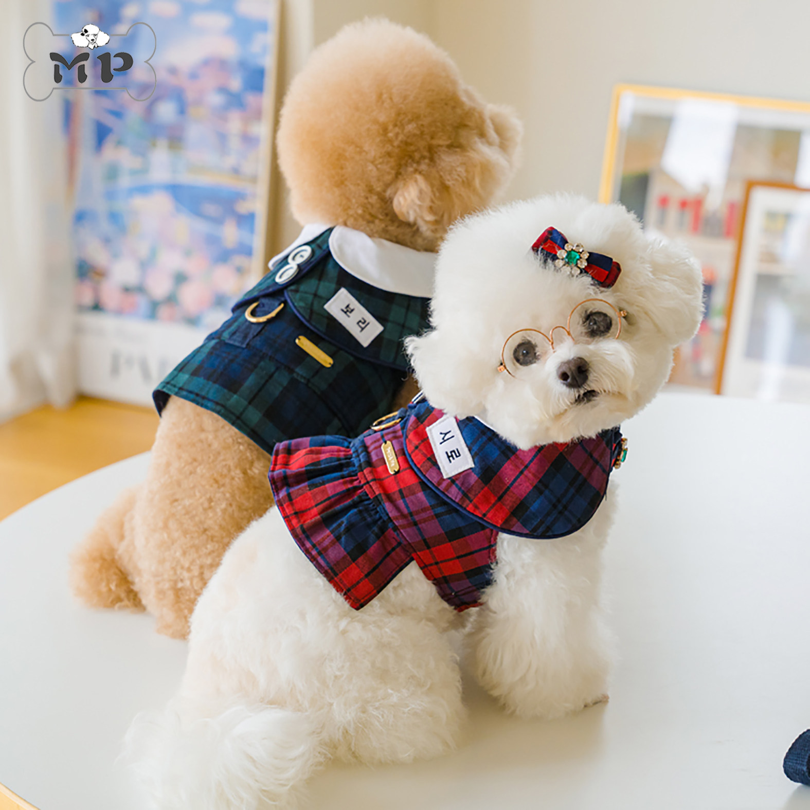 韩代宠物姓名定制格纹胸背发夹