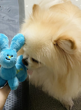 现货~韩国正品biteme宠物狗派对蓝色气球兔子玩偶发声玩具