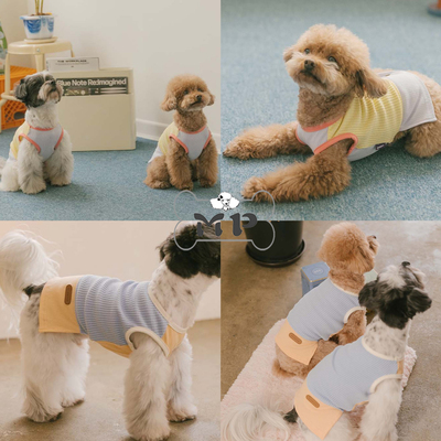 韩代宠物正品条纹拼色圆领背心