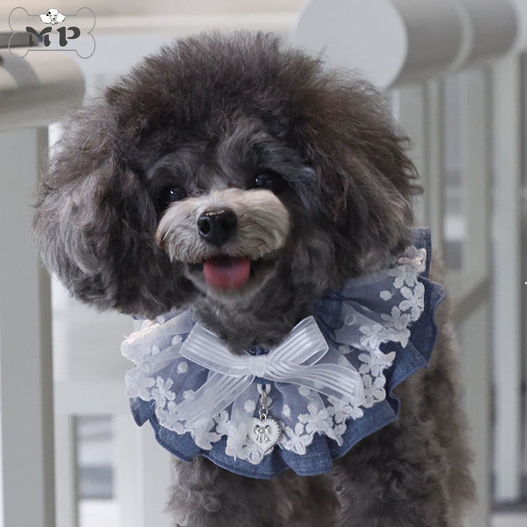 『memory pet』韩国bonyndog宠物姓名定制爱心吊坠蝴蝶结蕾丝围脖