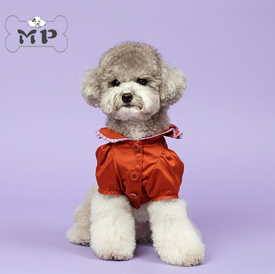 韩代宠物缎面木耳边领泡泡袖衬衫