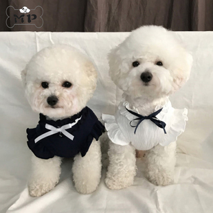 宠物猫狗春秋甜美褶皱丝带荷叶袖 韩国代购 Pet 公主衬衫 Memory