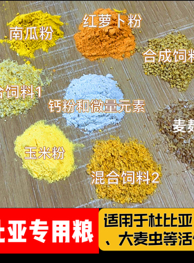 杜比亚蟑螂蟋蟀饲料大麦虫面包虫专业爬虫宠物活体营养健康绿色