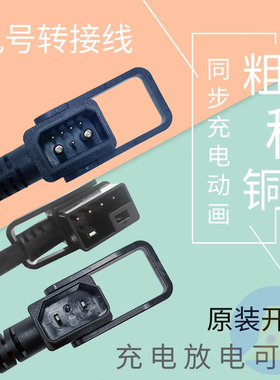 九号电车E80CN90CQ85CF60M85CM95C/NZae4Mz充电桩转接线转品字头