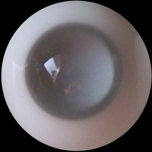 BJD/SD人偶娃娃眼珠 A品有眼无珠无瞳娃用玻璃眼球各规格可选-W13