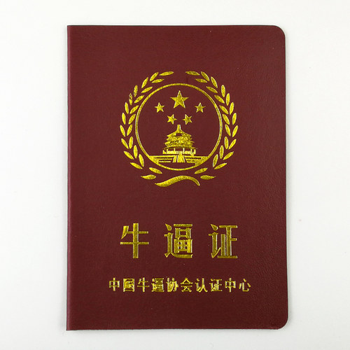 牛逼证 搞笑搞怪创意证书个性送朋友闺蜜爸妈男友老公生日礼物 - 封面