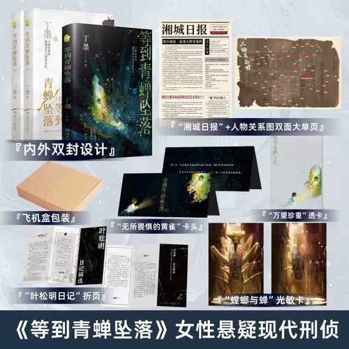 可选签名版本】等到青蝉坠落 丁墨新作 案件推理与情感救赎并重 震撼Be结局出人意料 女性悬疑小说