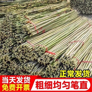 菜园2米长搭黄瓜架的种菜搭架子蔬菜爬藤竹竿棍支架子细彩旗旗杆