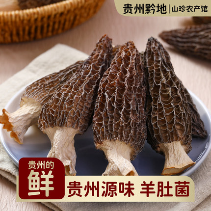 贵州黔地 羊肚菌干货特产菌菇炖鸡煲汤食材新鲜头茬肉厚短柄送礼