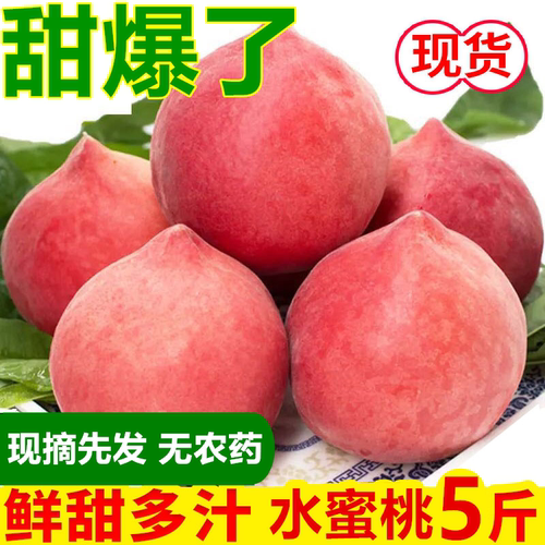 当季水果现摘新鲜水蜜桃脆甜5斤