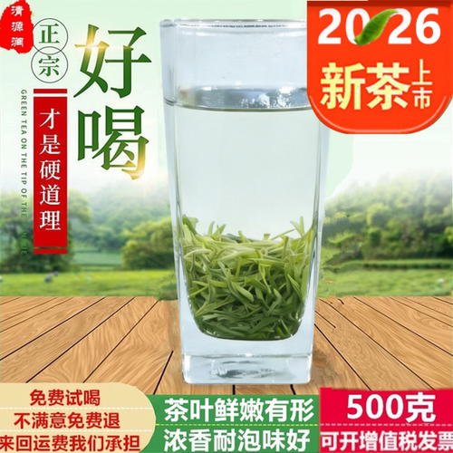新茶明前毛尖茶叶春茶浓香型送礼