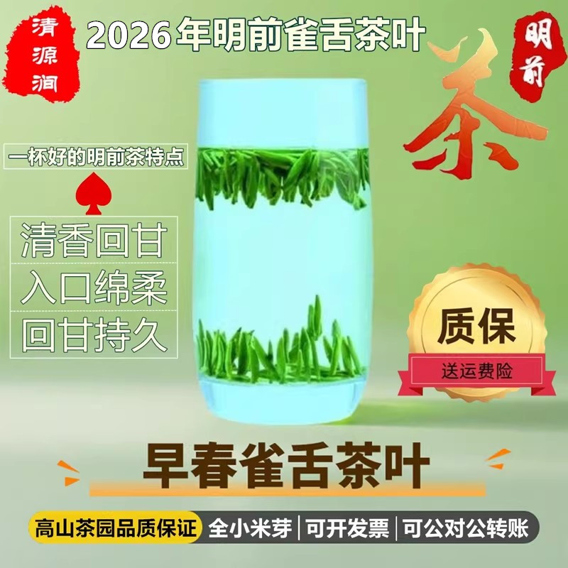 雀舌茶叶2026新茶高山云雾绿茶春茶龙井浓香型名茶毛尖口粮茶礼盒